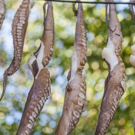 Villa Coral Bay Sun Eastmed *