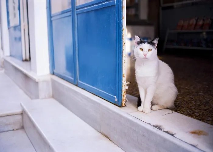 Coral Bay Sun Eastmed